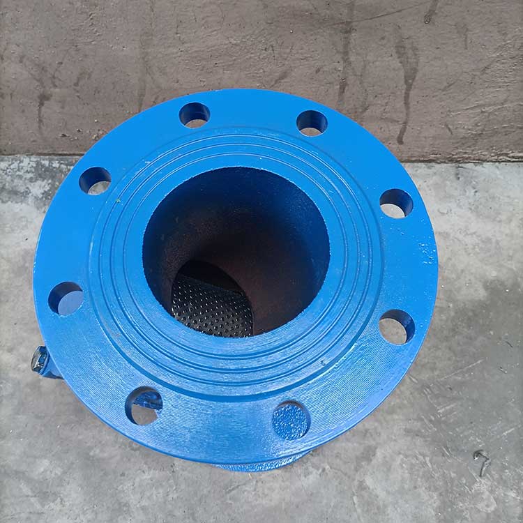 Y型過(guò)濾器-(2)